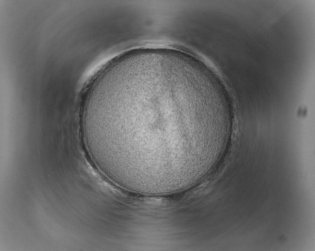 X0000115091456200911171206