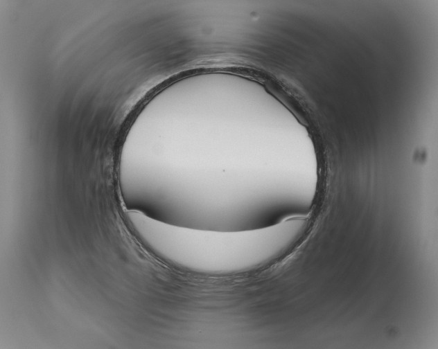 X0000115091457200911171206
