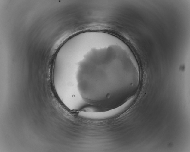 X0000115091459200911171206