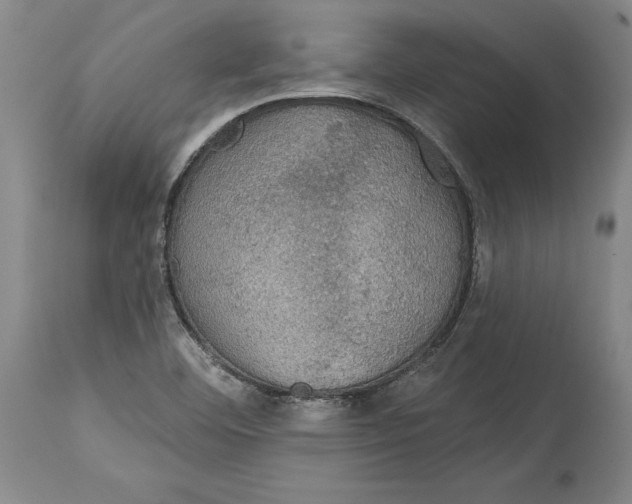 X0000115091460200911171206
