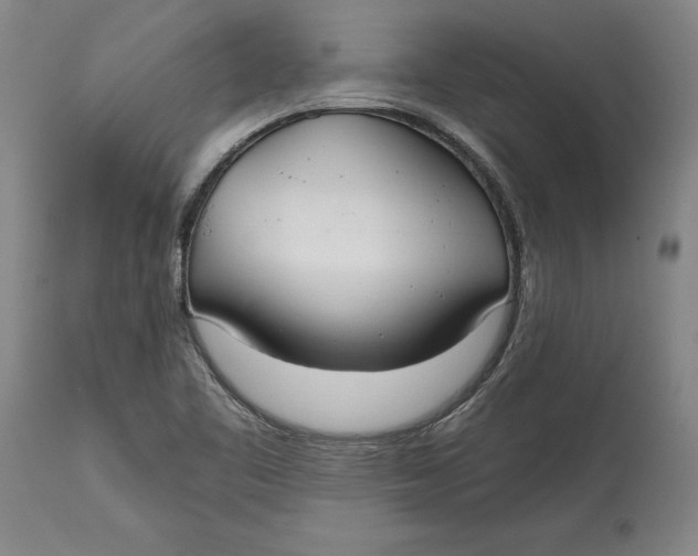 X0000115091461200911171206