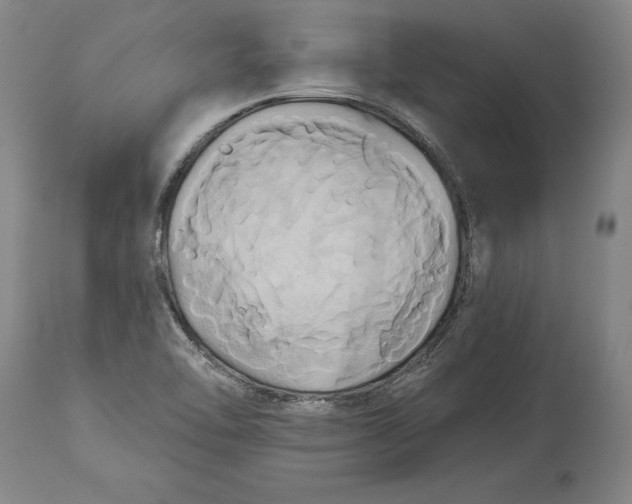 X0000115091462200911171206