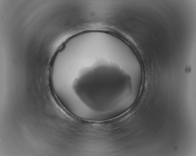 X0000115091463200911171206
