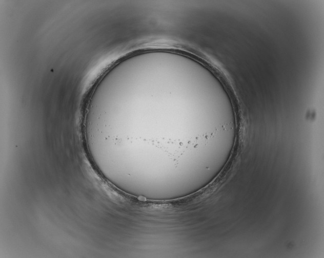 X0000115091464200911171206