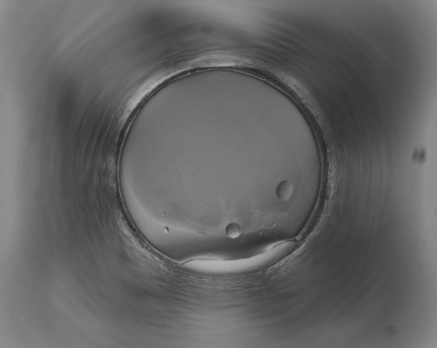 X0000115091465200911171206