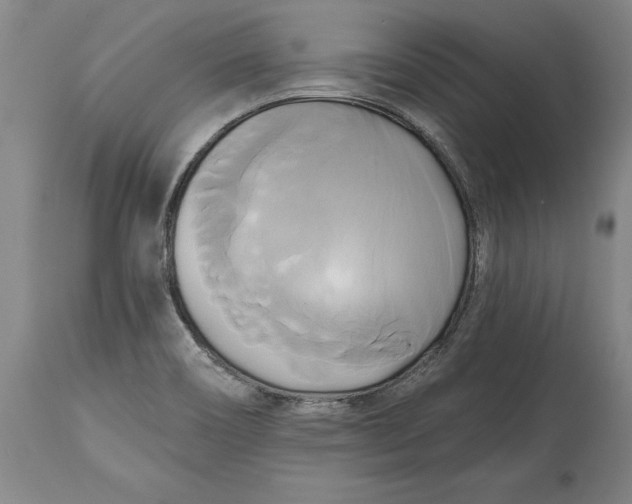 X0000115091466200911171206