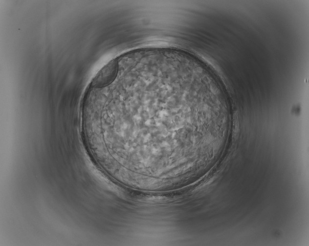 X0000115091467200911171206