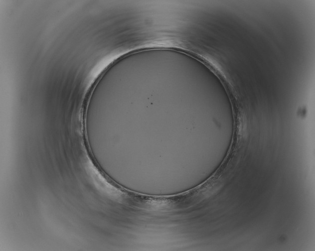 X0000115091468200911171206