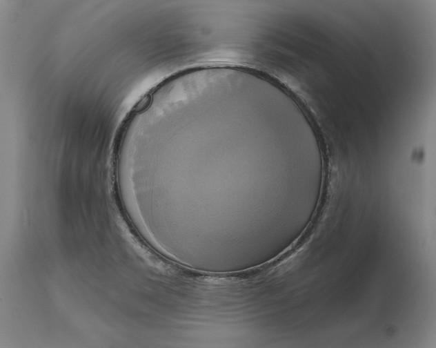 X0000115091469200911171206