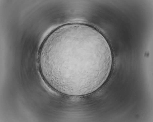 X0000115091470200911171206