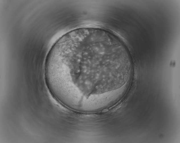 X0000115091471200911171206
