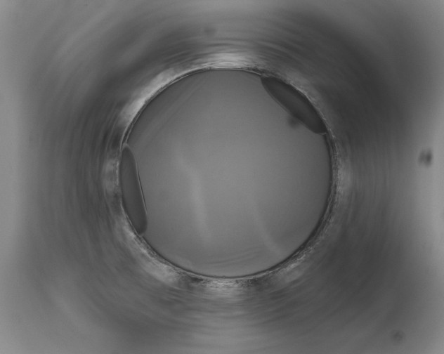 X0000115091473200911171206
