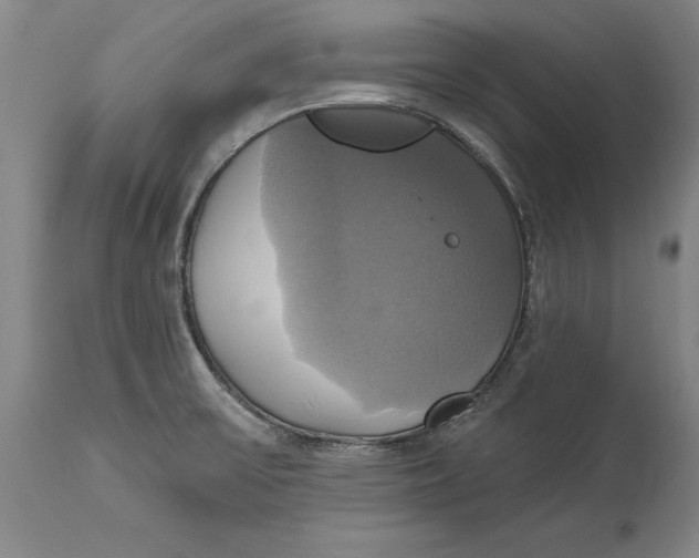 X0000115091475200911171206