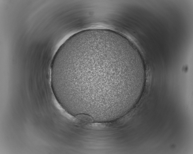 X0000115091476200911171206