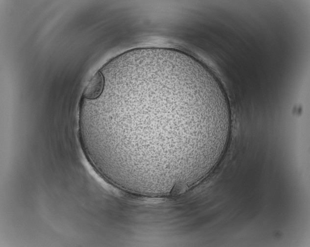 X0000115091479200911171206
