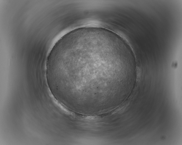 X0000115091480200911171206