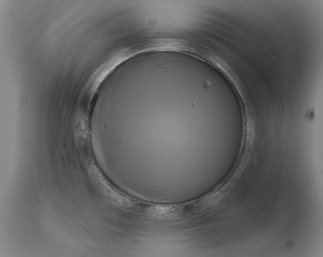 X0000115091481200911171206