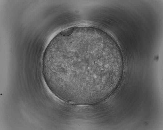 X0000115091483200911171206