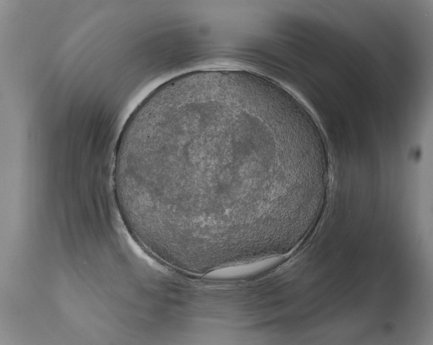 X0000115091484200911171206
