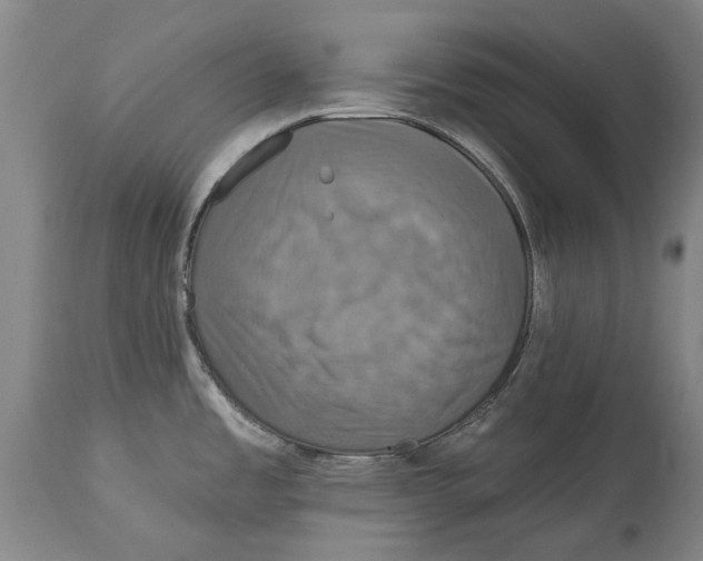 X0000115091485200911171206