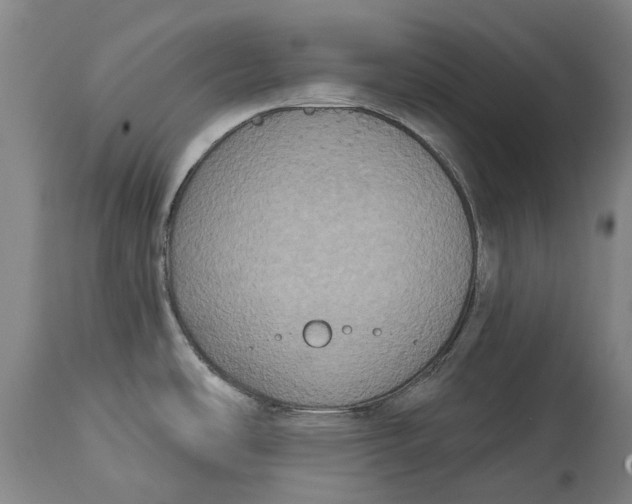 X0000115091486200911171206
