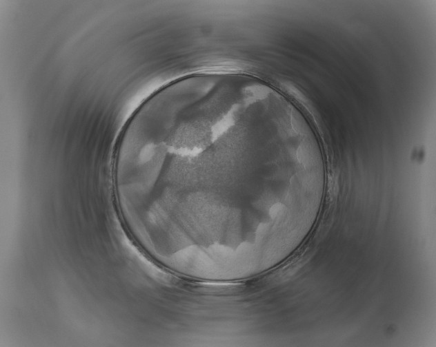 X0000115091487200911171206