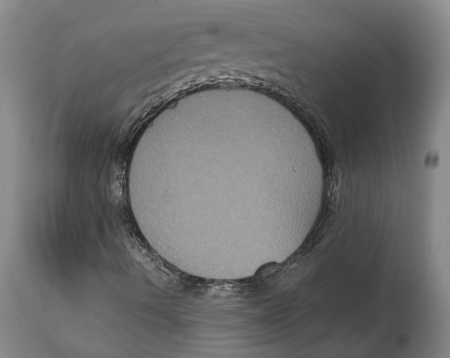 X0000115091490200911171205