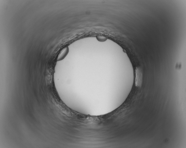 X0000115091491200911171205
