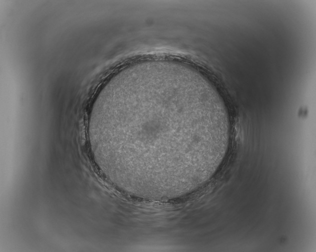 X0000115091493200911171205