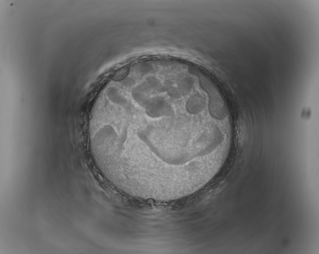 X0000115091494200911171205