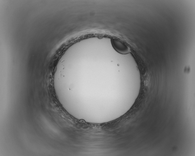 X0000115091495200911171205
