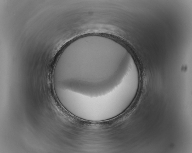 X0000115091497200911171205