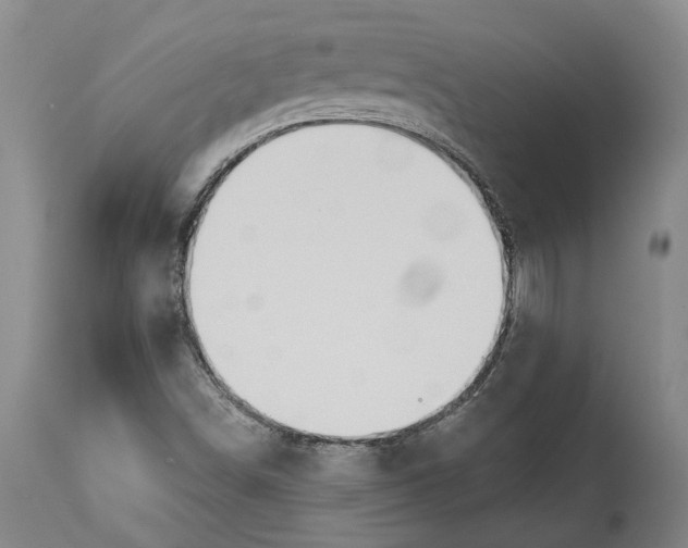 X0000115091498200911171205