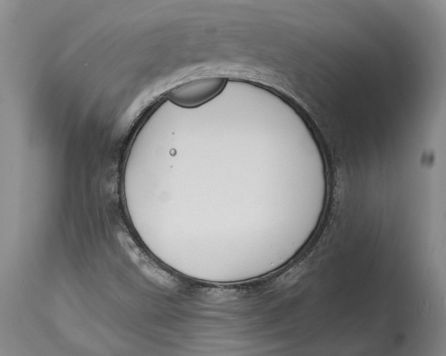 X0000115091499200911171205