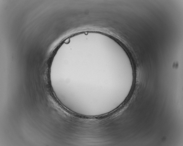 X0000115091502200911171205
