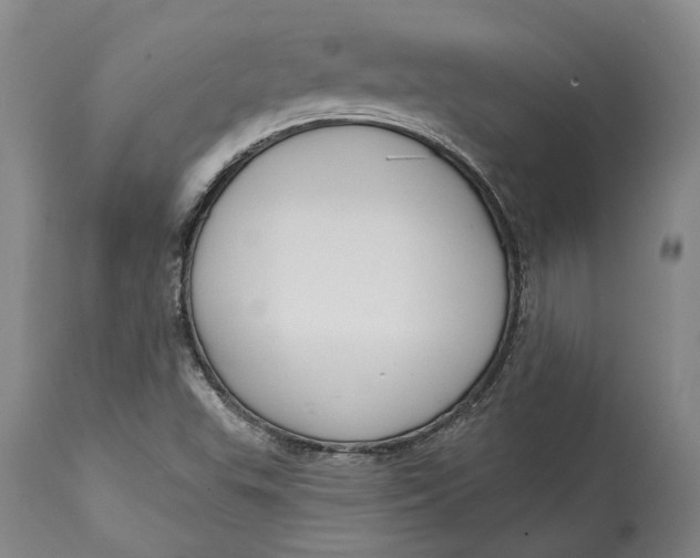 X0000115091503200911171205