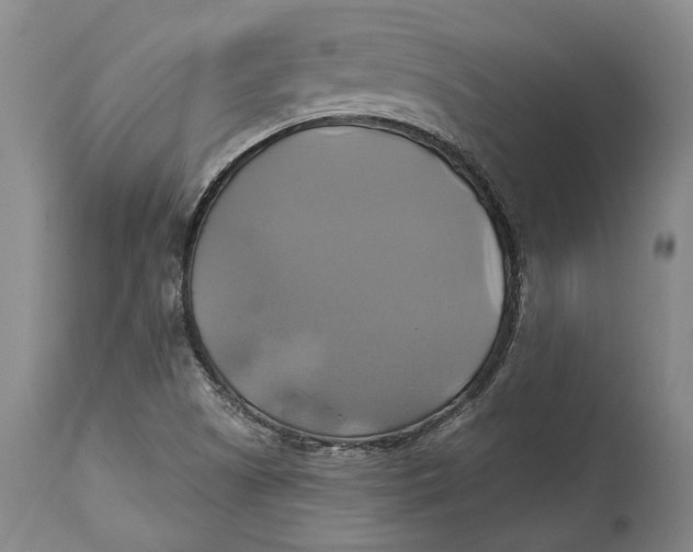 X0000115091505200911171205