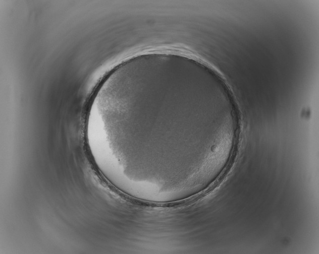 X0000115091506200911171205