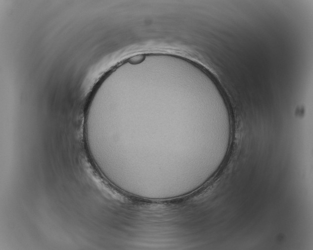 X0000115091507200911171205