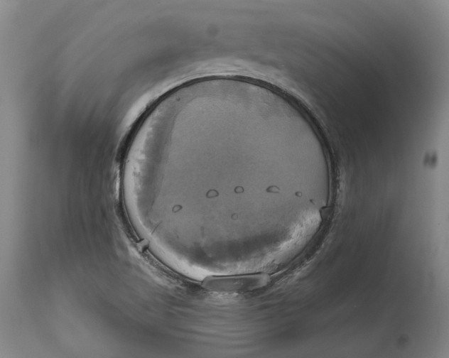 X0000115091509200911171205