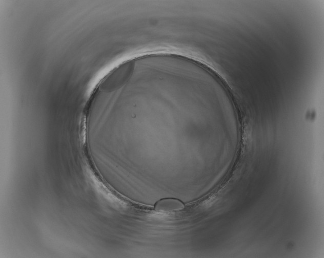 X0000115091510200911171205