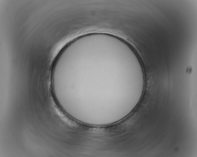 X0000115091511200911171205