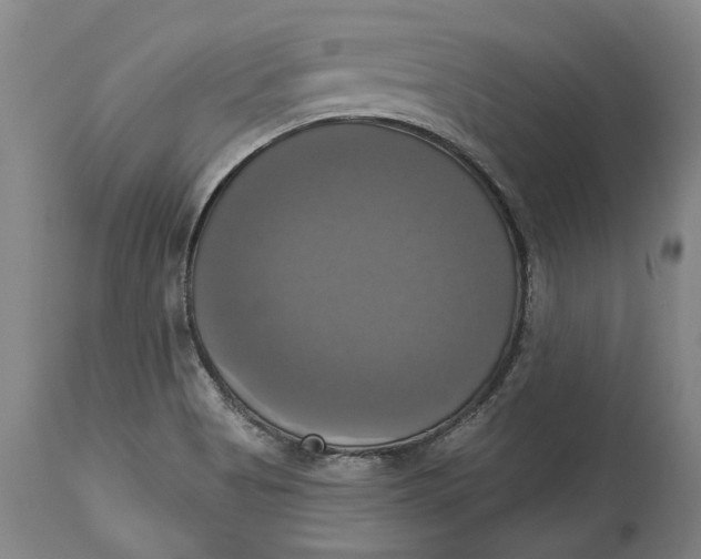 X0000115091513200911171205