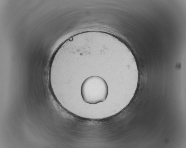 X0000115091514200911171205