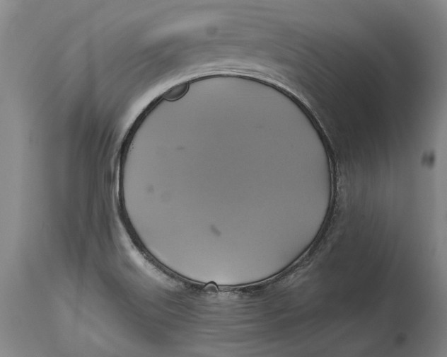 X0000115091515200911171205