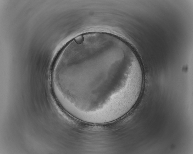 X0000115091517200911171205