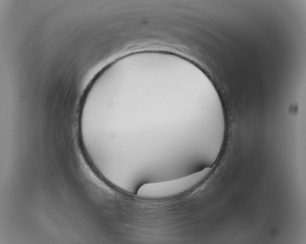 X0000115091518200911171205