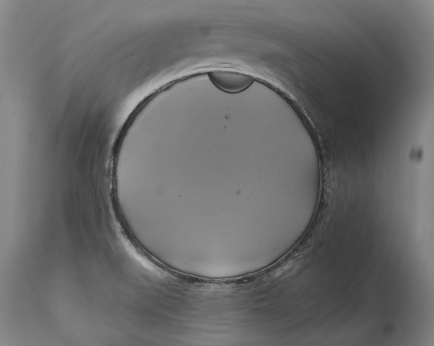 X0000115091519200911171205