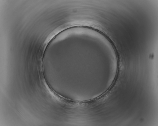 X0000115091521200911171205