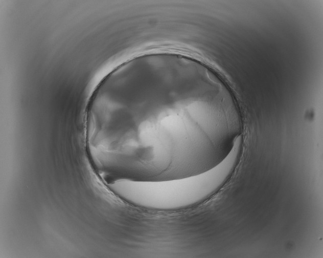 X0000115091522200911171205